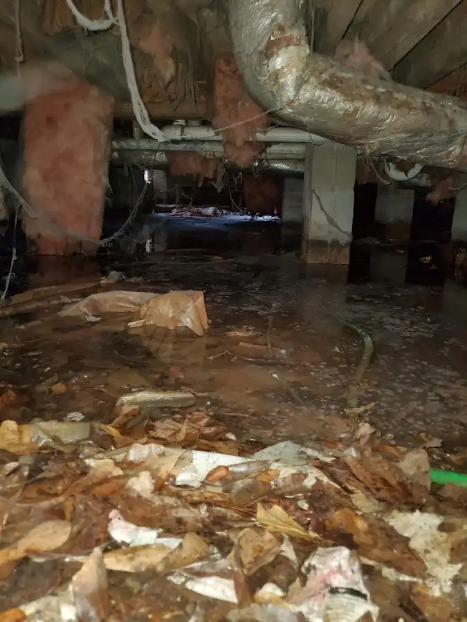 Crawl space flood assessment for Commercial Water Damage Restoration in South Strabane