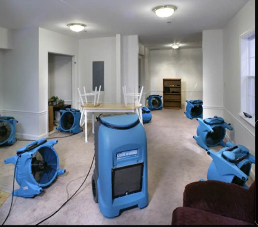 Air movers and dehumidifier setup for Water Extraction & Removal in South Strabane